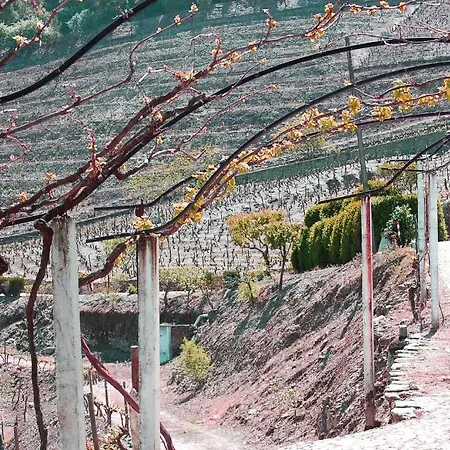 Séjour à la campagne Quinta De Santo Antonio Tabuaço