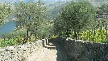 Séjour à la campagne Quinta De Santo Antonio