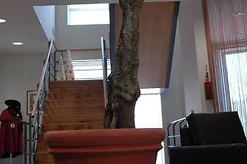 Séjour à la campagne Quinta De Santo Antonio