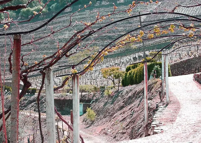 Lantställe Quinta De Santo Antonio Tabuaço