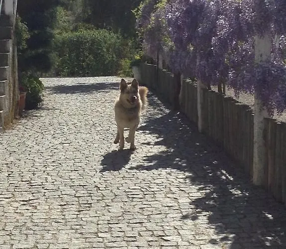 Casa de Campo Quinta De Santo Antonio